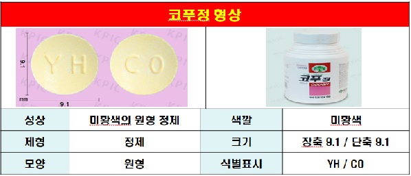 코푸정 형상