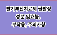 발기부전치료제 팔팔정