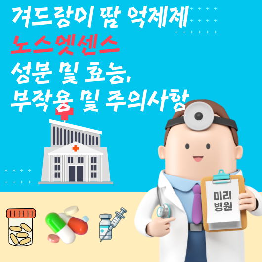 겨드랑이 땀 억제제 노스엣센스